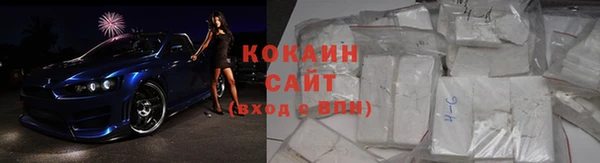 стаф Дмитров