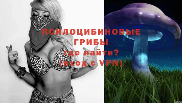 шишки Надым
