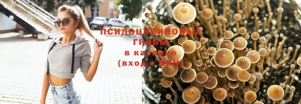 ALPHA PVP Новокубанск