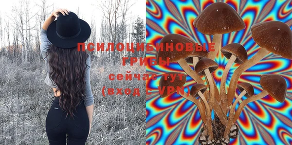ALPHA PVP Новокубанск
