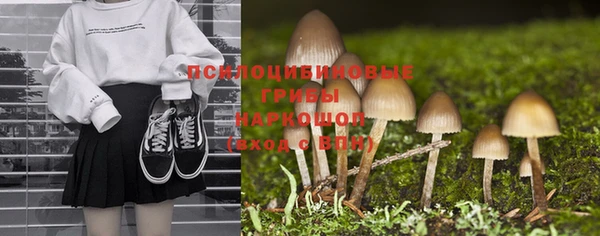 марки lsd Новодвинск