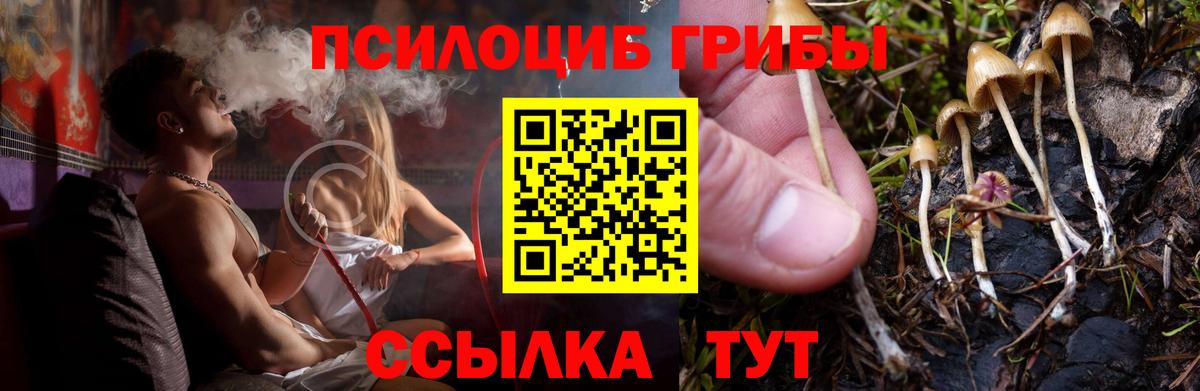 Псилоцибиновые грибы мицелий  Псилоцибиновые грибы ЛСД  хочу   Вход с VPN  Реж 
